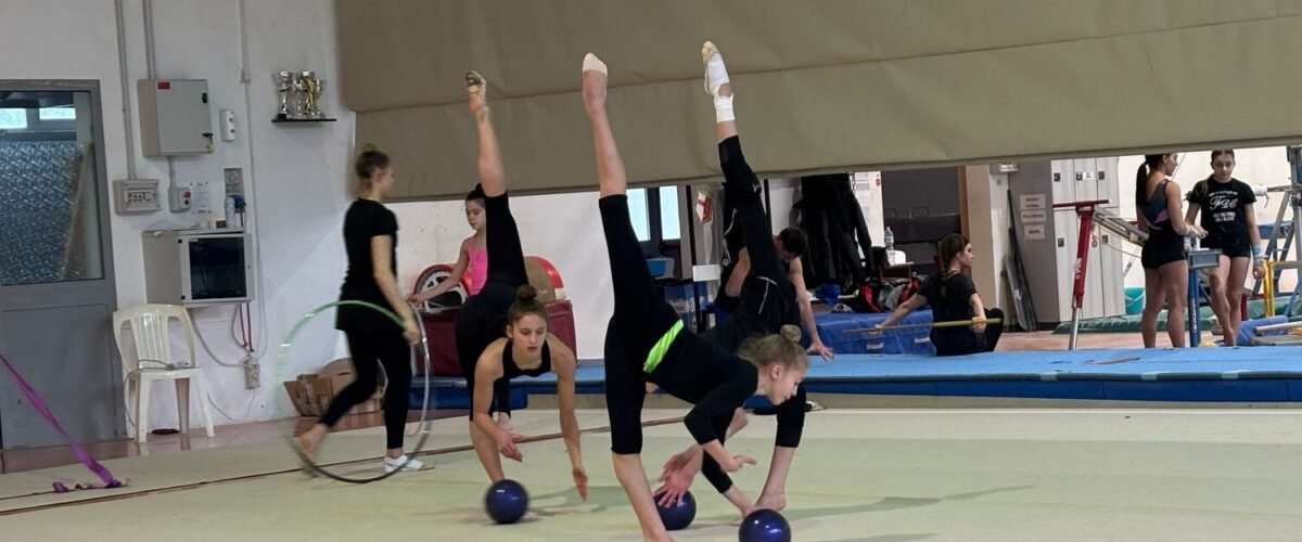 Fortebraccio. Ginnastica artistica e ritmica: storia, passione, accademia, professionalità